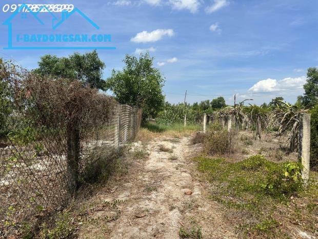 Bán 519m2 đất thổ cư Tân Tiến, thị xã LaGi gần Biển giá đầu tư - 4