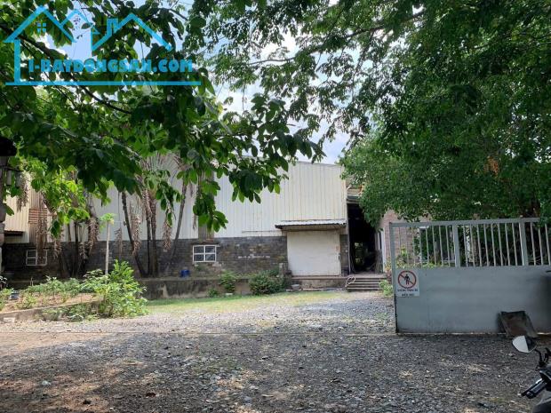 cần bán kho xưởng 10.000m2 Bầu Trâm Xã Trung An Huyện Củ Chi - 3