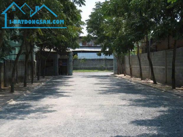 cần bán kho xưởng 10.000m2 Bầu Trâm Xã Trung An Huyện Củ Chi - 4