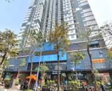 Bán CC cao cấp Riverside Garden 349 Vũ Tông Phan, 130m2, căn góc, 3 ngủ 8.X tỷ