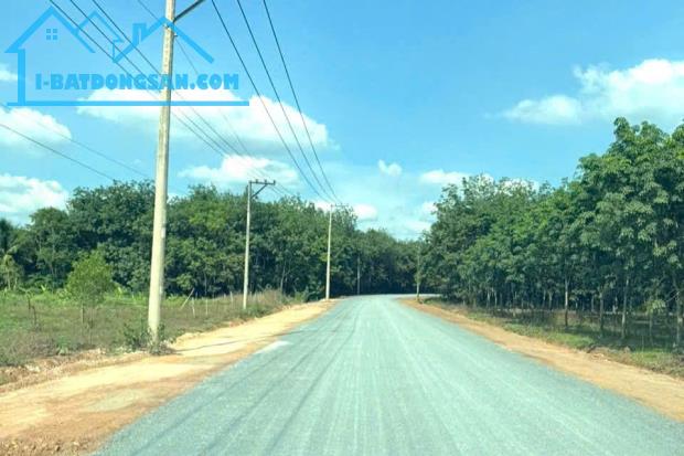 CHỈ 198 TRIỆU SỞ HỮU NGAY 1 LÔ ĐẤT THỔ CƯ GẦN 300M2 CÁCH QUỐC LỘ 500M - 2