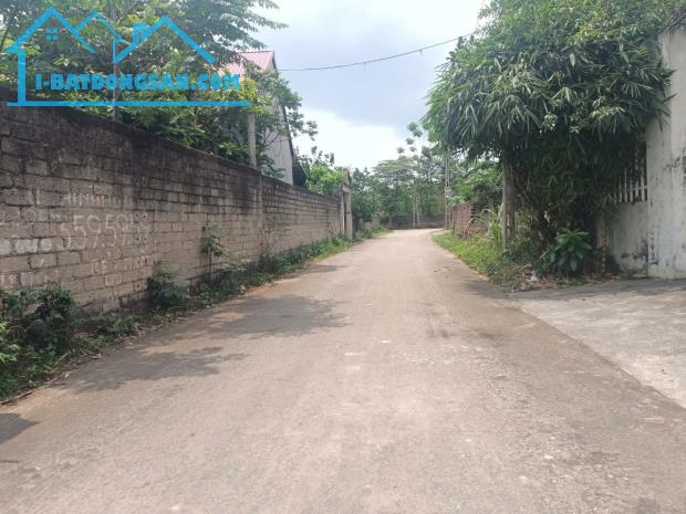 Bán đất TT Thắng, Hiệp Hòa, Bắc Giang 115m2, mặt tiền 6,5m, Ôtô tránh, trục chính 1,3 tỷ - 2