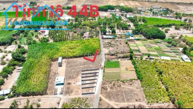 CÁCH TỈNH LỘ 44B 300M - TT PHƯỚC HẢI MỚI . LONG ĐẤT - 3