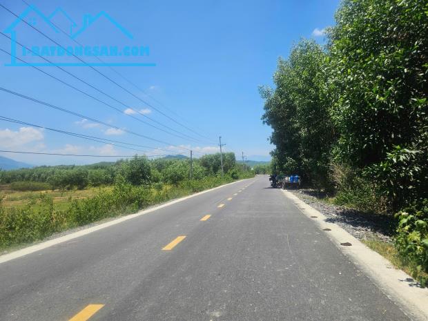 Bán đất mặt tiền Hương Lộ 62 - Diên Tân - Diên Khánh QH full thổ cư