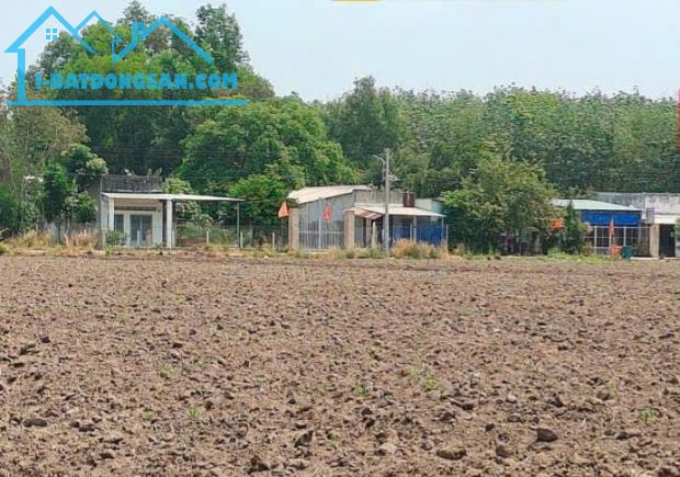 Bán cặp đất 10 x 60 An Thái, Phú Giáo Binh Dương Giá 670 triệu
