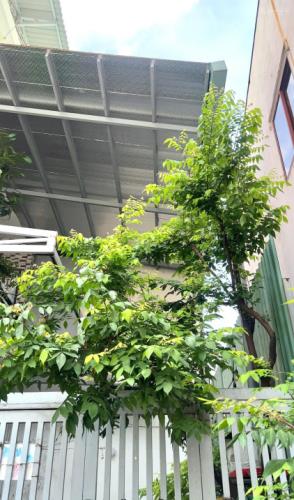 Bán nhà 3 TẦNG BTCT TÂN HƯƠNG, TÂN QUÝ 4PN, giá chỉ 5 tỷ xx - 2