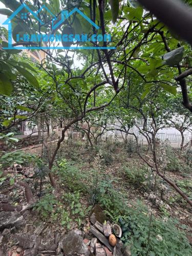 SIÊU HIẾM!!! THÔNG SỐ HOA HẬU - TIỆN ÍCH ĐẲNG CẤP - 163M - MẶT TIỀN 18.2M - PHỐ ÂU CƠ - - 3