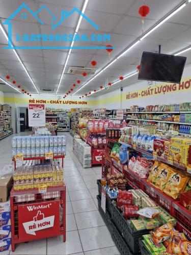 Mặt tiền kinh doanh siêu đẹp, Nguyễn Ảnh Thủ, Hóc Môn , 8m x 24m, giá chỉ nhỉnh 10 tỷ. - 2