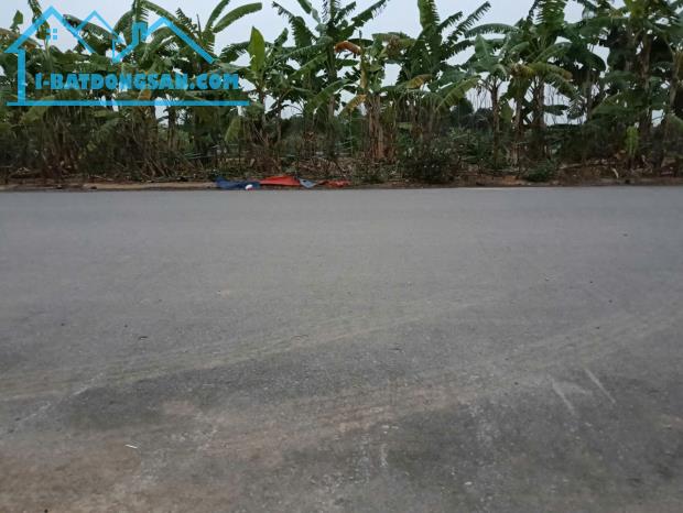 Bán lô đất dịch vụ phường Tích Sơn, Thành Phố Vĩnh Yên, Tỉnh Vĩnh Phúc - 2