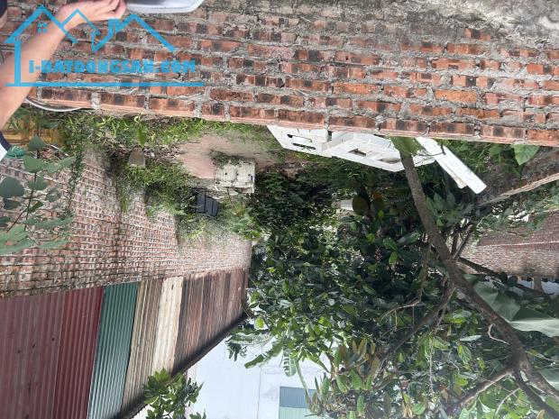 📌47,2 m NỞ HẬU - VIN COLOA ♥️ĐƯỜNG THÔNG OTO ĐỖ CỬA  - CÁCH HỒ ĐIỀU HOÀ 30M  - CÁCH CẦU Đ - 4
