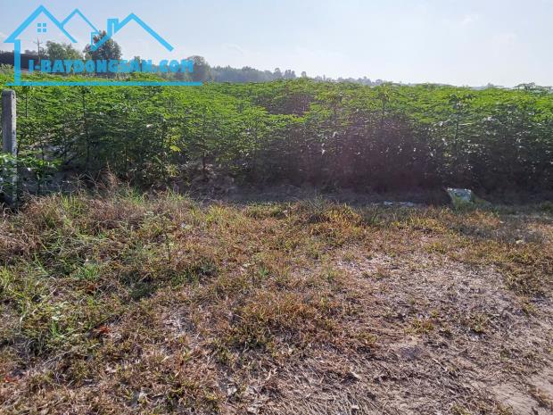 KHU PHÂN LÔ ĐÃ CÓ SỔ RIÊNG TỪNG LÔ --PULL THỔ CƯ --320M2--GIÁ 200TR - 2