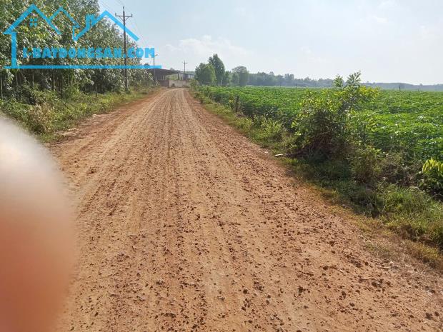 KHU PHÂN LÔ ĐÃ CÓ SỔ RIÊNG TỪNG LÔ --PULL THỔ CƯ --320M2--GIÁ 200TR - 1