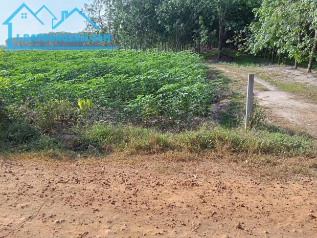 KHU PHÂN LÔ ĐÃ CÓ SỔ RIÊNG TỪNG LÔ --PULL THỔ CƯ --320M2--GIÁ 200TR