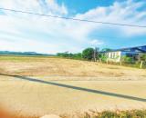 🏡 BÁN ĐẤT NGHỈ DƯỠNG SUỐI TRE – XUYÊN MỘC, BR-VT