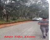 GIA ĐÌNH CHO CON VỀ SAIGON HỌC CẦN NHƯỢNG LẠI 55320M2 (5,5HA) ĐẤT LÂM NGHIỆP LH:0931351494