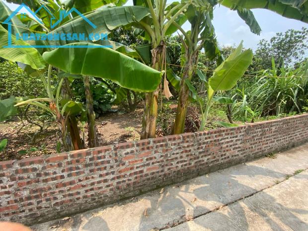 chính chủ bán lô đất tại xã Thanh Hồng, Thanh Hà giá rẻ 200m Full Thổ cư chỉ 5,8 tỷ. - 1