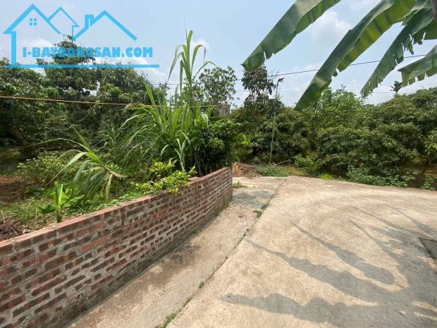 chính chủ bán lô đất tại xã Thanh Hồng, Thanh Hà giá rẻ 200m Full Thổ cư chỉ 5,8 tỷ. - 3