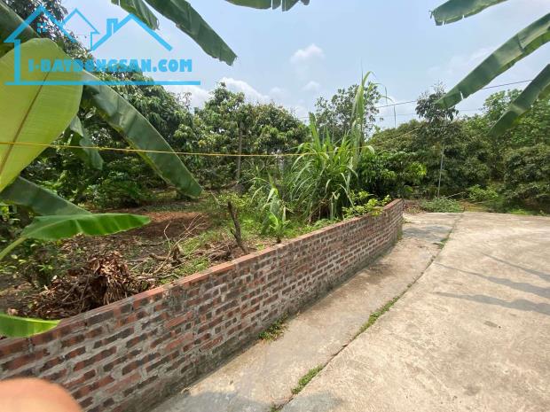 chính chủ bán lô đất tại xã Thanh Hồng, Thanh Hà giá rẻ 200m Full Thổ cư chỉ 5,8 tỷ. - 4