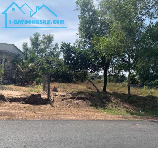 Hàng hiếm Mỹ Phước – Hơn 5800m² có thổ cư, giá cực đẹp! - 1