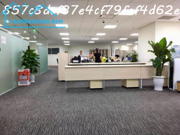 AI Bán nhà 228m², 7 tầng, Lý Thường Kiệt, Tân Bình, 85 tỷ, sổ đỏ - 4