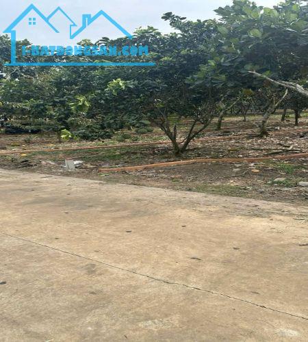 Lô đất vị trí đắc địa, ngay trung tâm Khu Công Nghiệp Bình Lộc - 1