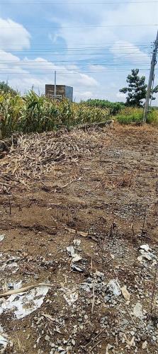CHÍNH CHỦ CẦN BÁN LÔ ĐẤT ĐẸP TẠI PHÚ LỢI, ĐỊNH QUÁN, Đồng Nai – GIÁ TỐT, TIỀM NĂNG CAO! - 3