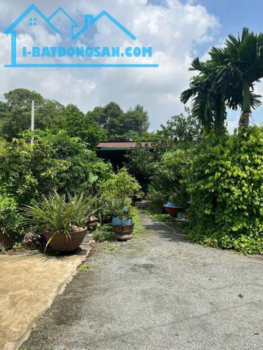 Bán nhà vườn P. Tân Vạn-Biên Hoà. 1000m2 sổ thổ cư. Đường ôtô. Giá 10 tỷ. - 1