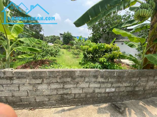 bán đất thanh hồng, thanh hà, phân lô, ô tô, 400m x 12m, giá rẻ chỉ 11,5 tỷ. - 3