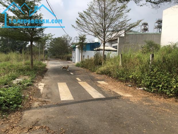 🛣️ Mặt Tiền Đường 6m – Gần Nguyễn Hoàng – Sở Hữu Ngay Với 950 Triệu! - 2