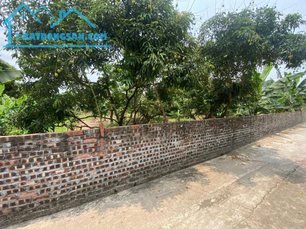 bán đất tại xã thanh hồng 260m x 8m ô tô khu phân lô giá rẻ chỉ 7 tỷ.