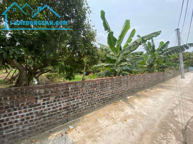 bán đất tại xã thanh hồng 260m x 8m ô tô khu phân lô giá rẻ chỉ 7 tỷ. - 2
