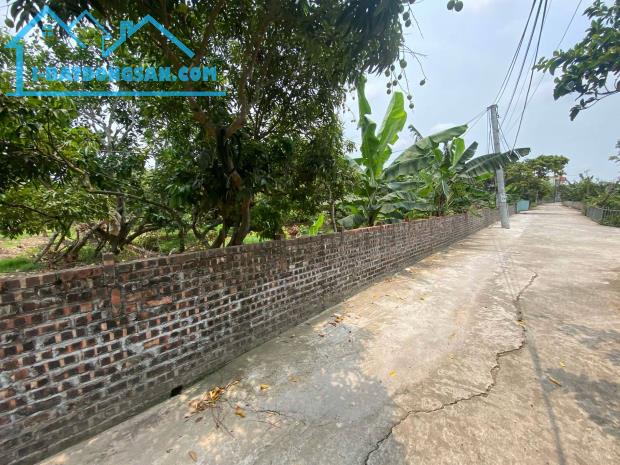 bán đất tại xã thanh hồng 260m x 8m ô tô khu phân lô giá rẻ chỉ 7 tỷ. - 3