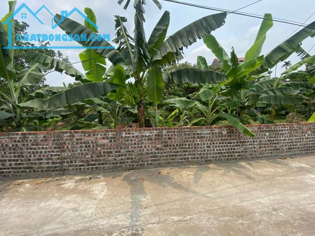 bán đất tại xã thanh hồng 260m x 8m ô tô khu phân lô giá rẻ chỉ 7 tỷ. - 4
