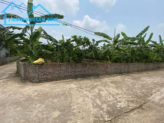 ÁN ĐẤT, XÃ THANH HỒNG, 500M X 2OM, ĐẤT VƯỜN KHÔNG GIAN SỐNG XANH – THANH HỒNG, HẢI DƯƠNG C