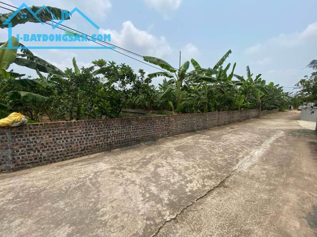 ÁN ĐẤT, XÃ THANH HỒNG, 500M X 2OM, ĐẤT VƯỜN KHÔNG GIAN SỐNG XANH – THANH HỒNG, HẢI DƯƠNG C - 2