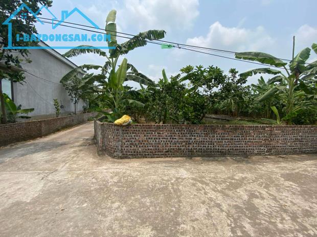 ÁN ĐẤT, XÃ THANH HỒNG, 500M X 2OM, ĐẤT VƯỜN KHÔNG GIAN SỐNG XANH – THANH HỒNG, HẢI DƯƠNG C - 3