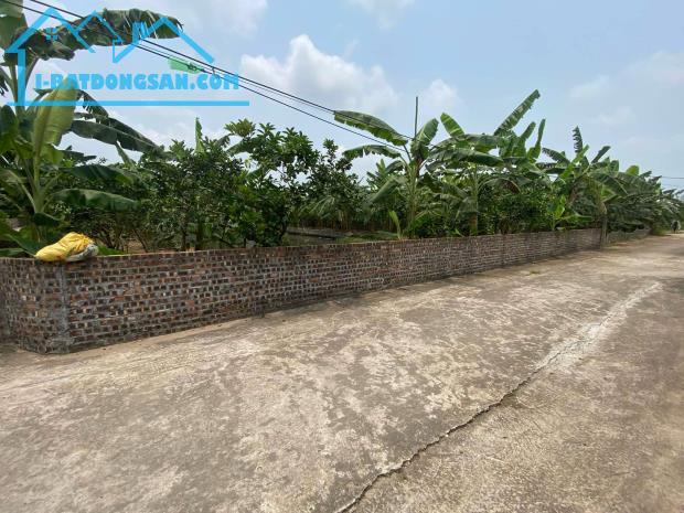 ÁN ĐẤT, XÃ THANH HỒNG, 500M X 2OM, ĐẤT VƯỜN KHÔNG GIAN SỐNG XANH – THANH HỒNG, HẢI DƯƠNG C - 5