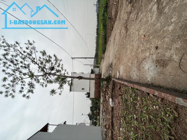 BÁN ĐẤT ĐẤU GIÁ PHÚC TIẾN BIÊN GIANG HÀ ĐÔNG