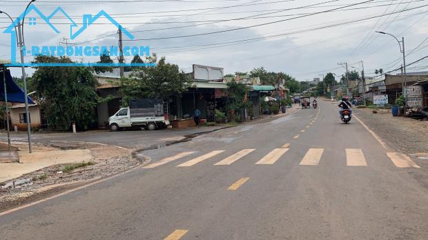 BÁN 7 LÔ 35X40=1400M2 SỔ RIÊNG THỔ CƯ, SÁT CHỢ, CẠNH KCN CÔNG NHÂN ĐÔNG GIÁ 290TR - 1