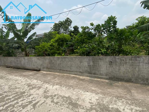 Cần bán đất xã Thanh Hồng, Thanh Hà – Mặt tiền 10m, đất full thổ cư, đường lớn chỉ 9 tỷ. T - 4