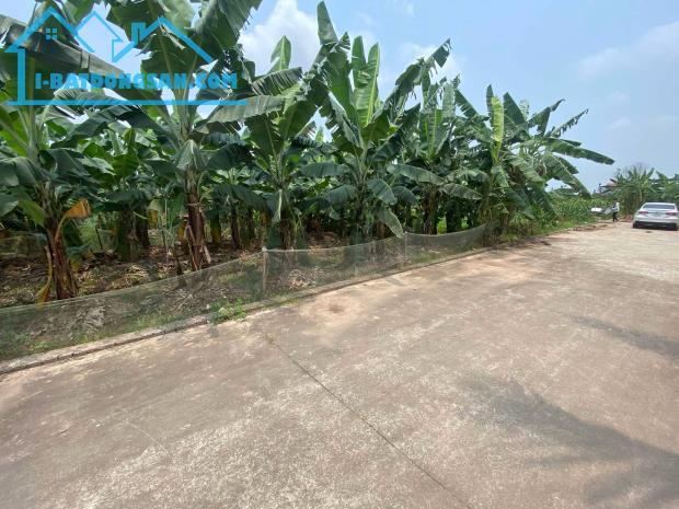 BÁN ĐẤT, XÃ THANH HỒNG, 200M X 8M, ĐẤT VƯỜN LÔ GÓC CHỈ 3.5 TỶ. - 2