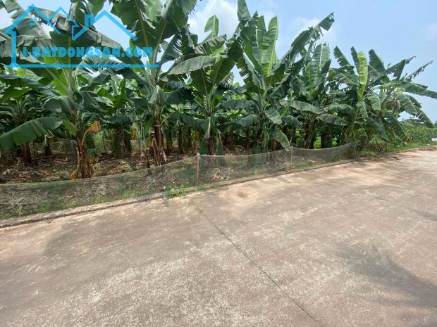BÁN ĐẤT, XÃ THANH HỒNG, 200M X 8M, ĐẤT VƯỜN LÔ GÓC CHỈ 3.5 TỶ. - 3