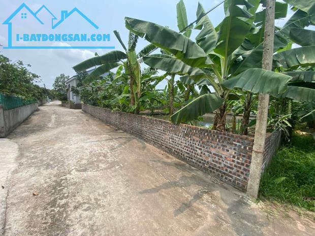 BÁN ĐẤT, XÃ THANH HỒNG, 200M X 8M, ĐẤT VƯỜN LÔ GÓC CHỈ 3.5 TỶ. - 5