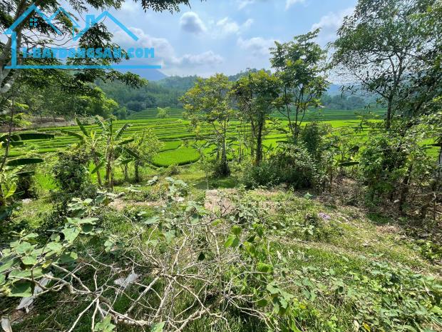 Chính chủ cần bán 2800m2 đất vườn có 120m2 thổ cư tại Xăm Khoè, Mai Châu, Hoà Bình