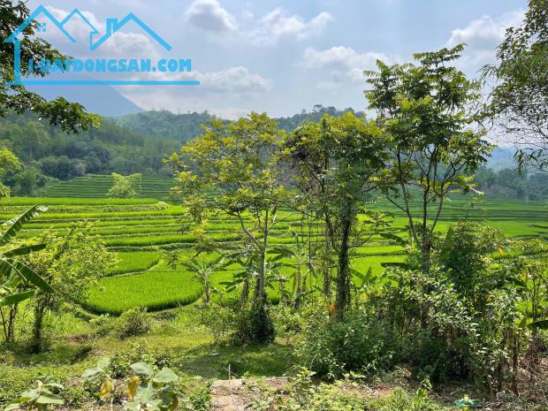 Chính chủ cần bán 2800m2 đất vườn có 120m2 thổ cư tại Xăm Khoè, Mai Châu, Hoà Bình - 1