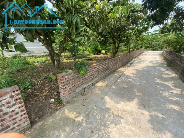 CHÍNH CHỦ BÁN ĐẤT 500M² TẠI XÃ THANH HỒNG – GẦN TRƯỜNG, CHỢ, CÔNG TY 12 TỶ. 📍 Địa chỉ: Xã