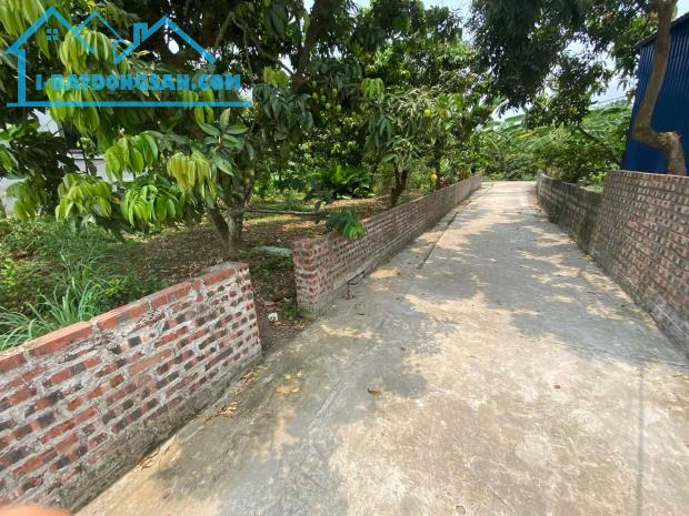 CHÍNH CHỦ BÁN ĐẤT 500M² TẠI XÃ THANH HỒNG – GẦN TRƯỜNG, CHỢ, CÔNG TY 12 TỶ. 📍 Địa chỉ: Xã - 1