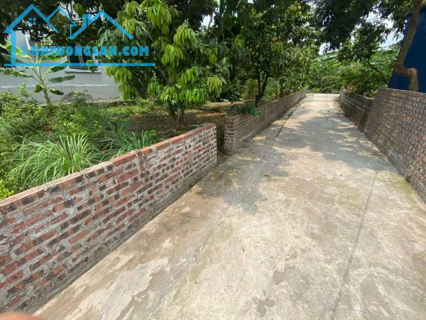 CHÍNH CHỦ BÁN ĐẤT 500M² TẠI XÃ THANH HỒNG – GẦN TRƯỜNG, CHỢ, CÔNG TY 12 TỶ. 📍 Địa chỉ: Xã - 3
