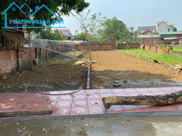 Chỉ 300m Tới Nhà Máy In Tiền – Đất 135m², Thổ Cư 100m², Đường Rộng, Tiện Ích Đủ Đầy - 1