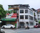 Bán nhà Linh Lang Phan Kế Bính, vị trí đắc địa, 140m, MT16m, chỉ 48 tỷ